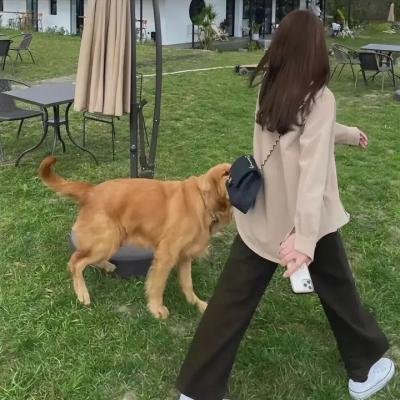 科学怪鱼